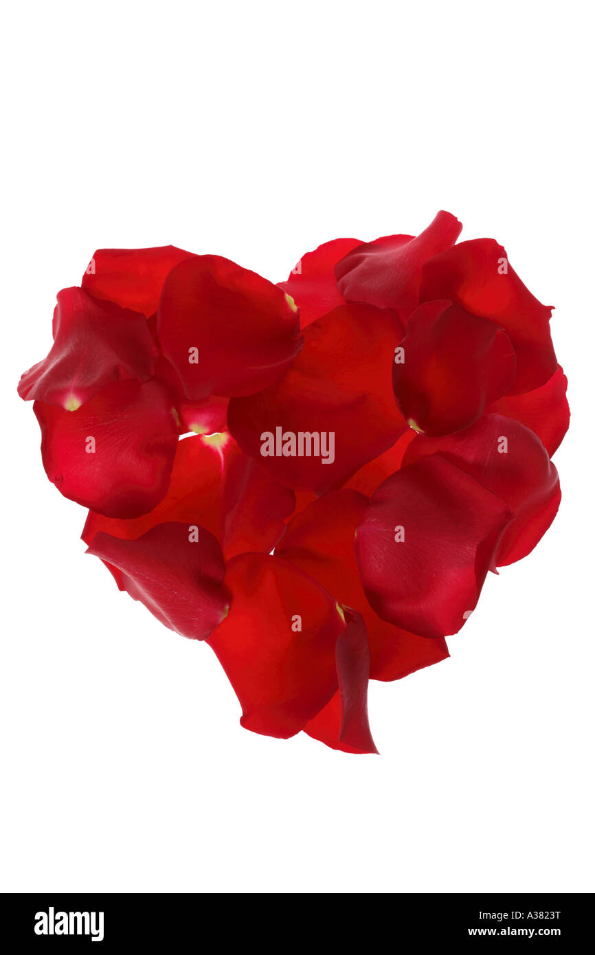 Rote Rosenblätter in Form von Herzen Stockfoto