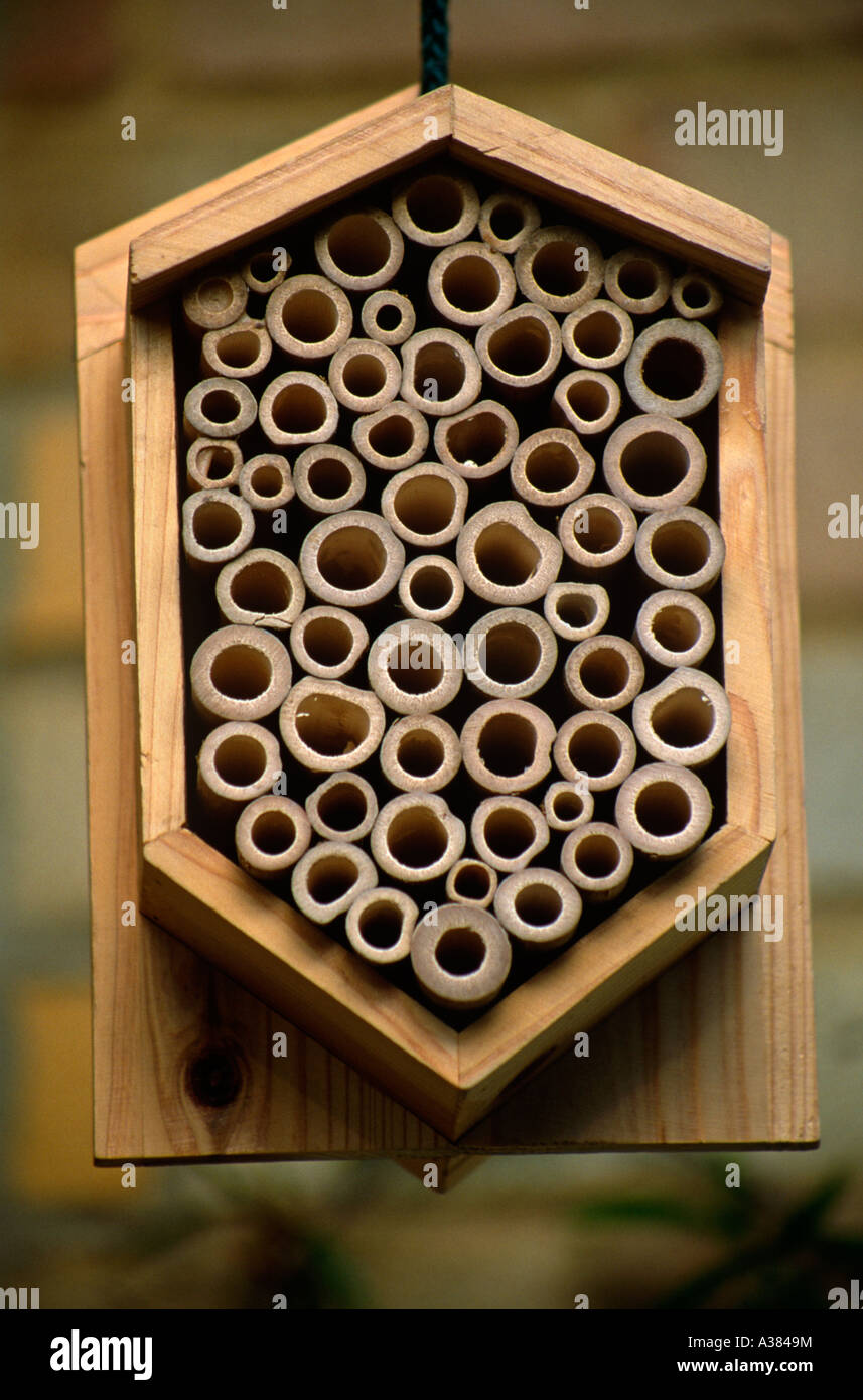 Nistkasten für Solitäre Bienen Stockfoto