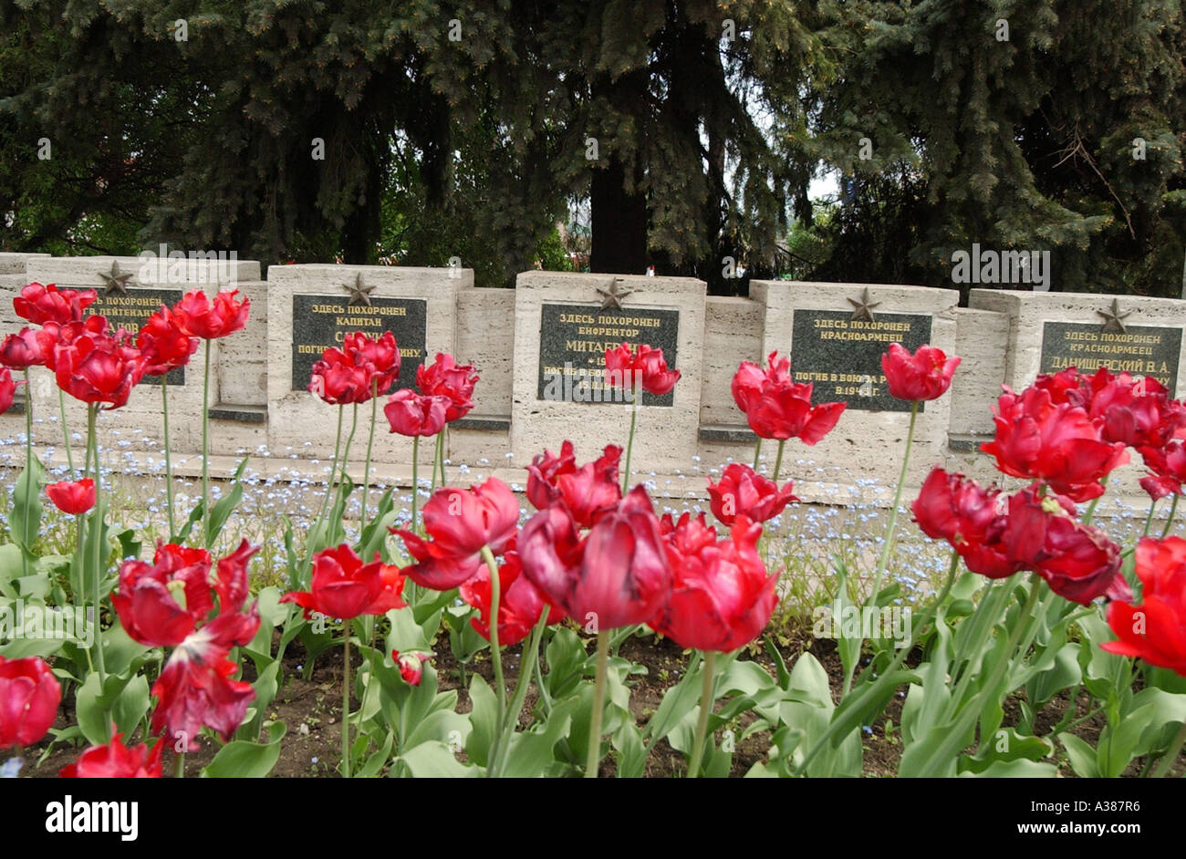 Friedhof für russische Soldaten in der Mitte der slowakischen Stadt Košice Stockfoto