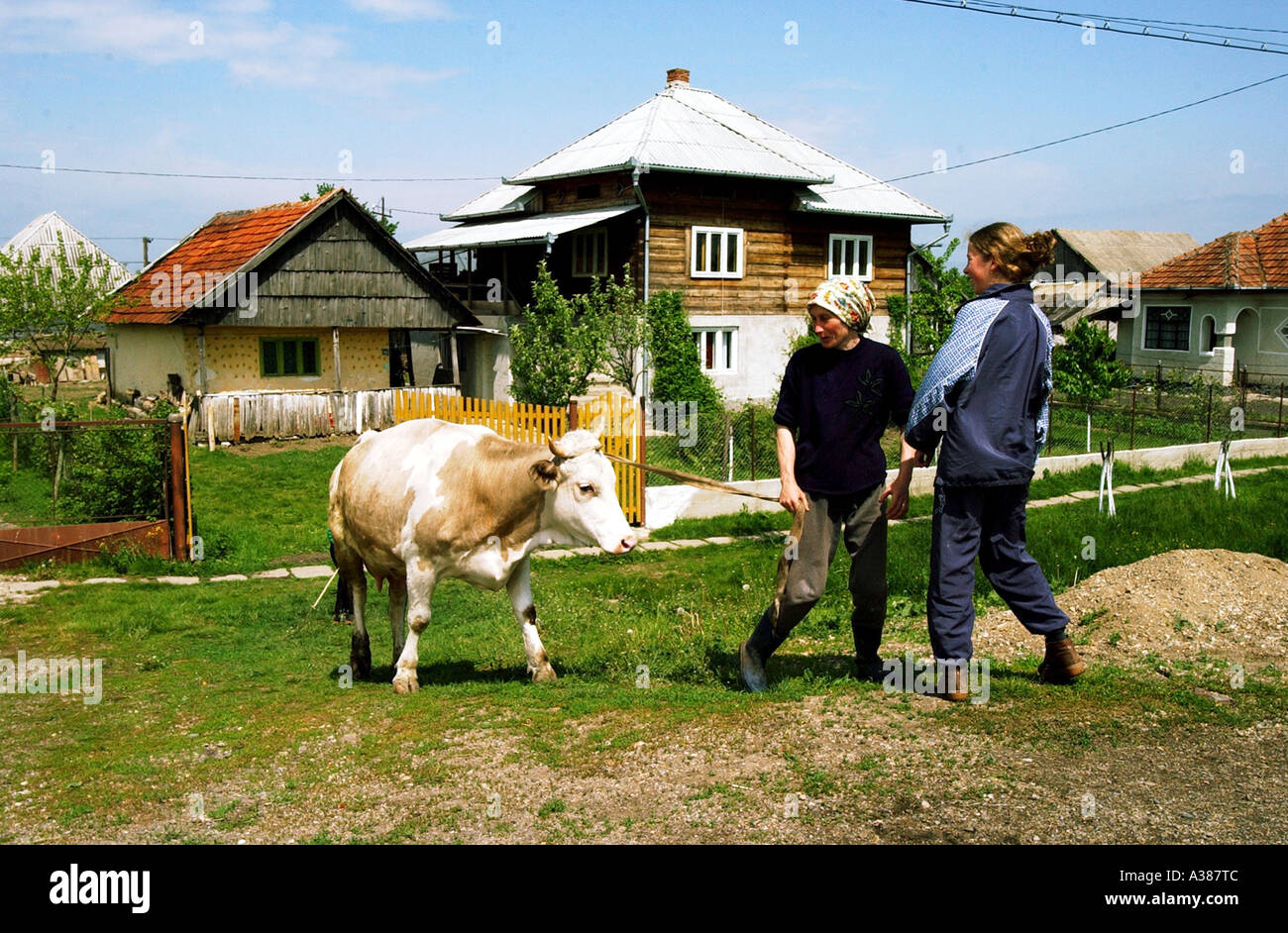 In der Nähe von Sathmar/Satu Mare in einem Dorf nahe der Grenze zu Ungarn leben die Menschen hier wie im letzten Jahrhundert dennoch bald Roman Stockfoto