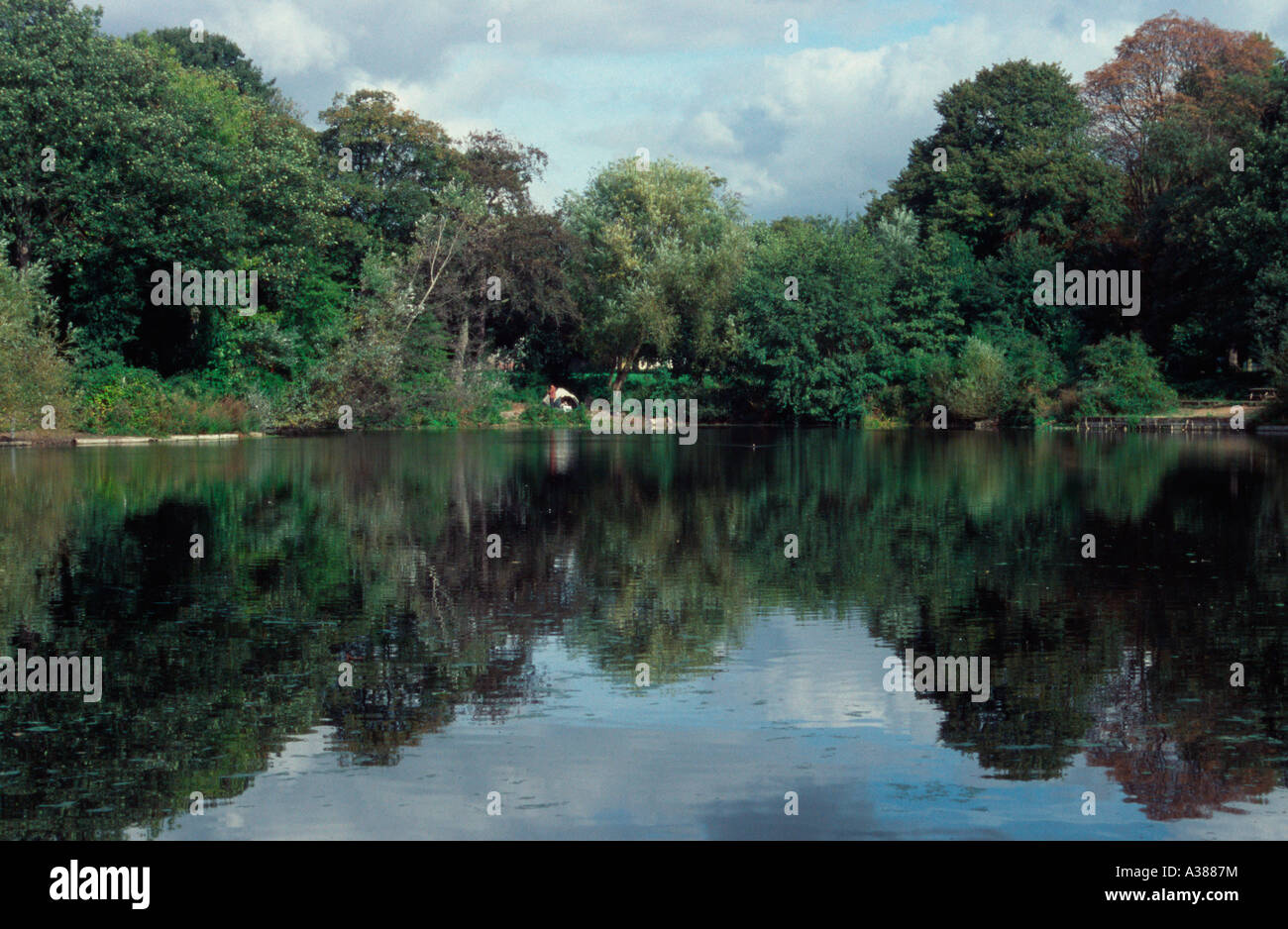 Potomac Teich, Gunnersbury Park, West-London, UK Stockfoto