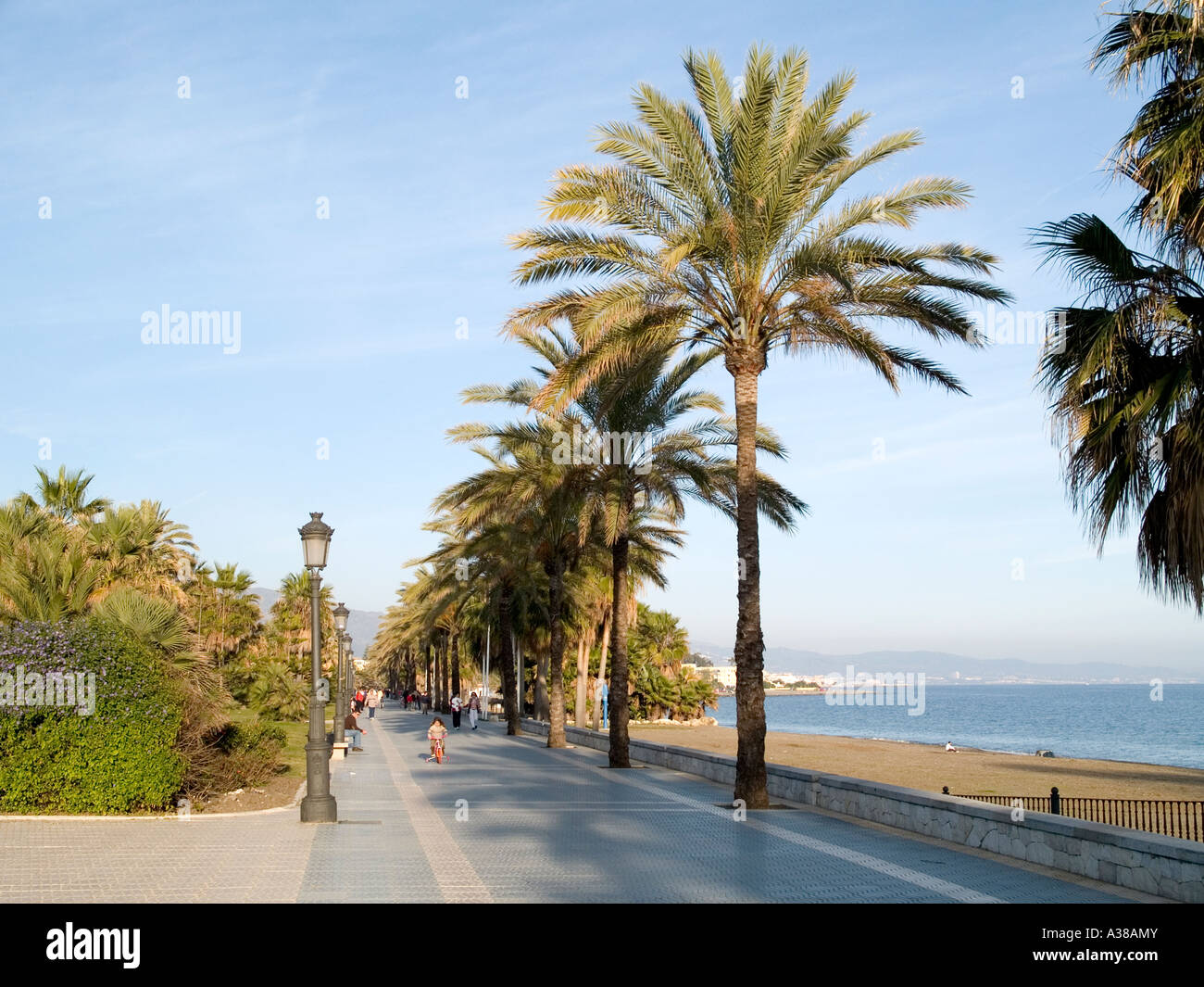 Palmengesäumten Promenade von San Pedro de Alcantara Andalusien Spanien im Winter Nachmittags Sonne Stockfoto