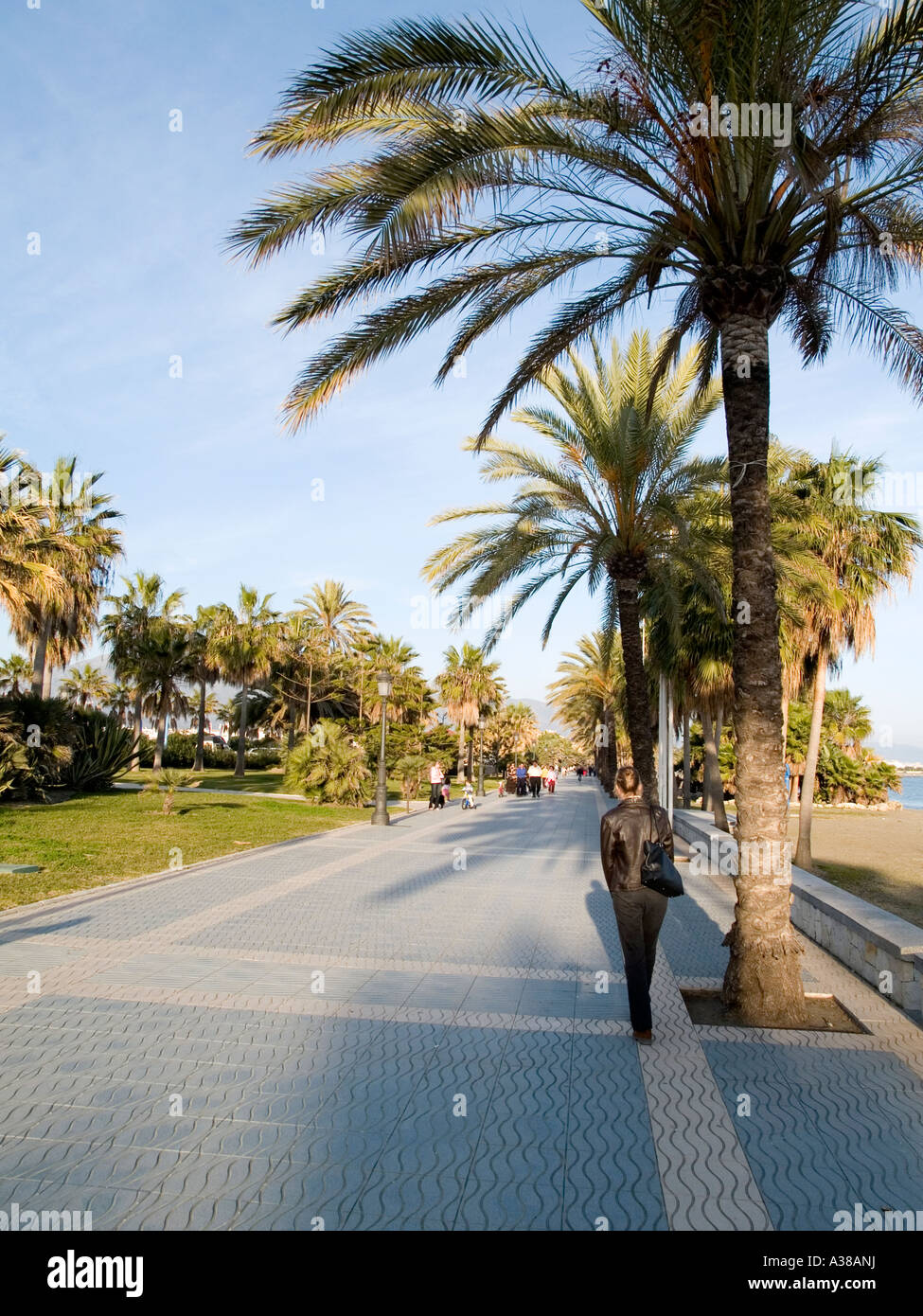 Palmengesäumten Promenade von San Pedro de Alcantara Andalusien Spanien im Winter Nachmittags Sonne Stockfoto