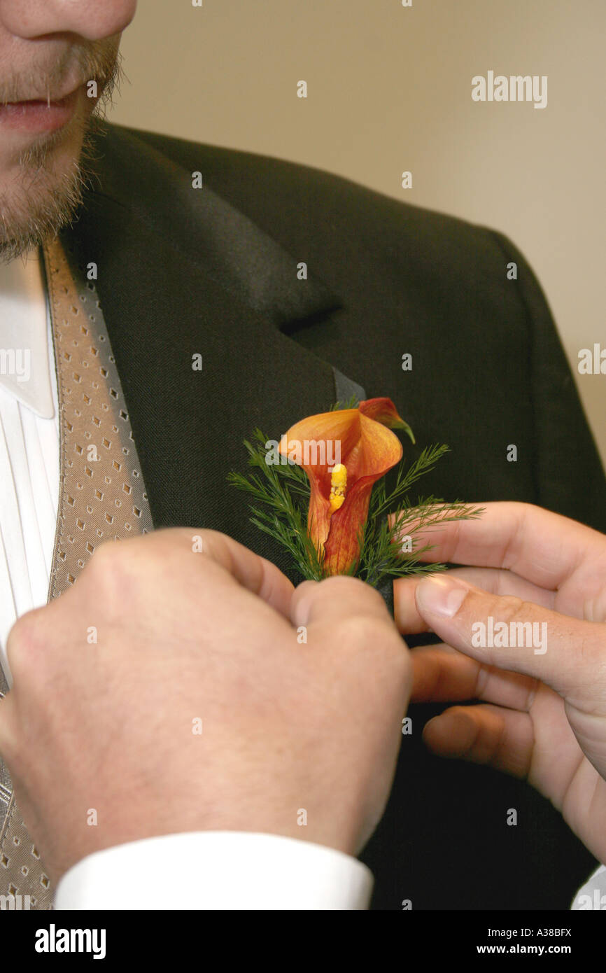 Eine Blume, die Revers der Hochzeit Smoking anheften Stockfoto