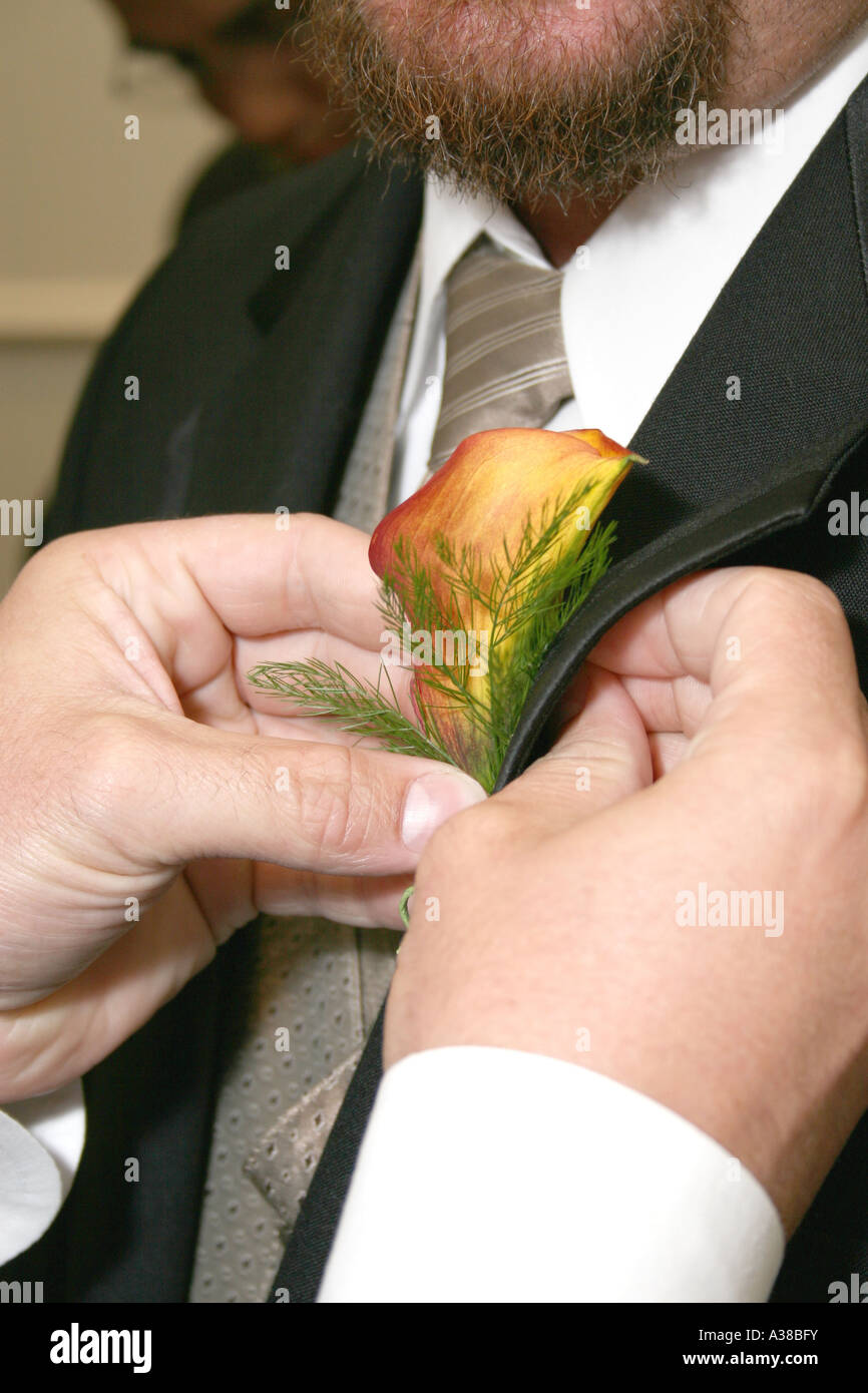 Eine Blume, die Revers der Hochzeit Smoking anheften Stockfoto