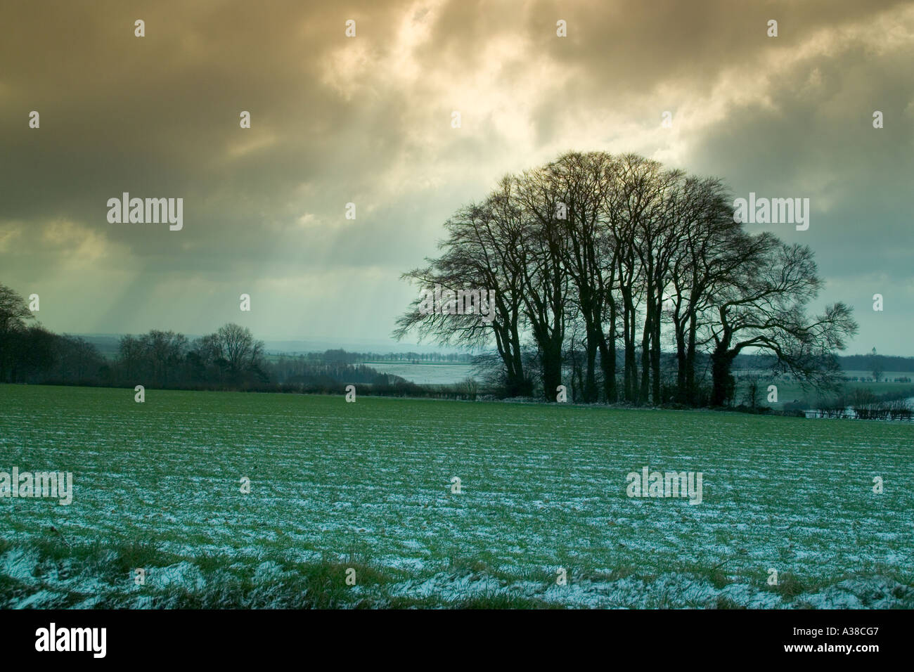 Winter Cotswold-Landschaft in der Nähe von Snowshill Gloucestershire Stockfoto