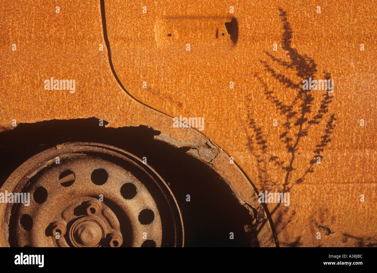 Detail von einem verrosteten ausgebrannt Fahrzeug zeigt Teil eines Tür-Panel und Rad-Bogen mit Hub und Schatten einer Pflanze Stockfoto