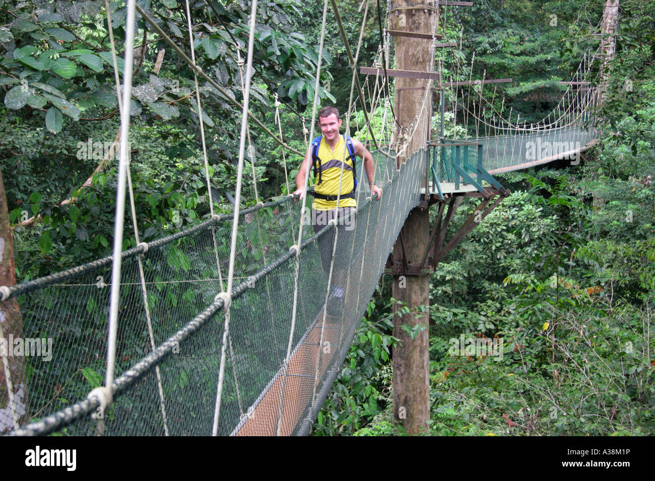 Mulu Baldachin Skywalk in Gunung Mulu National Park, Sarawak, Borneo