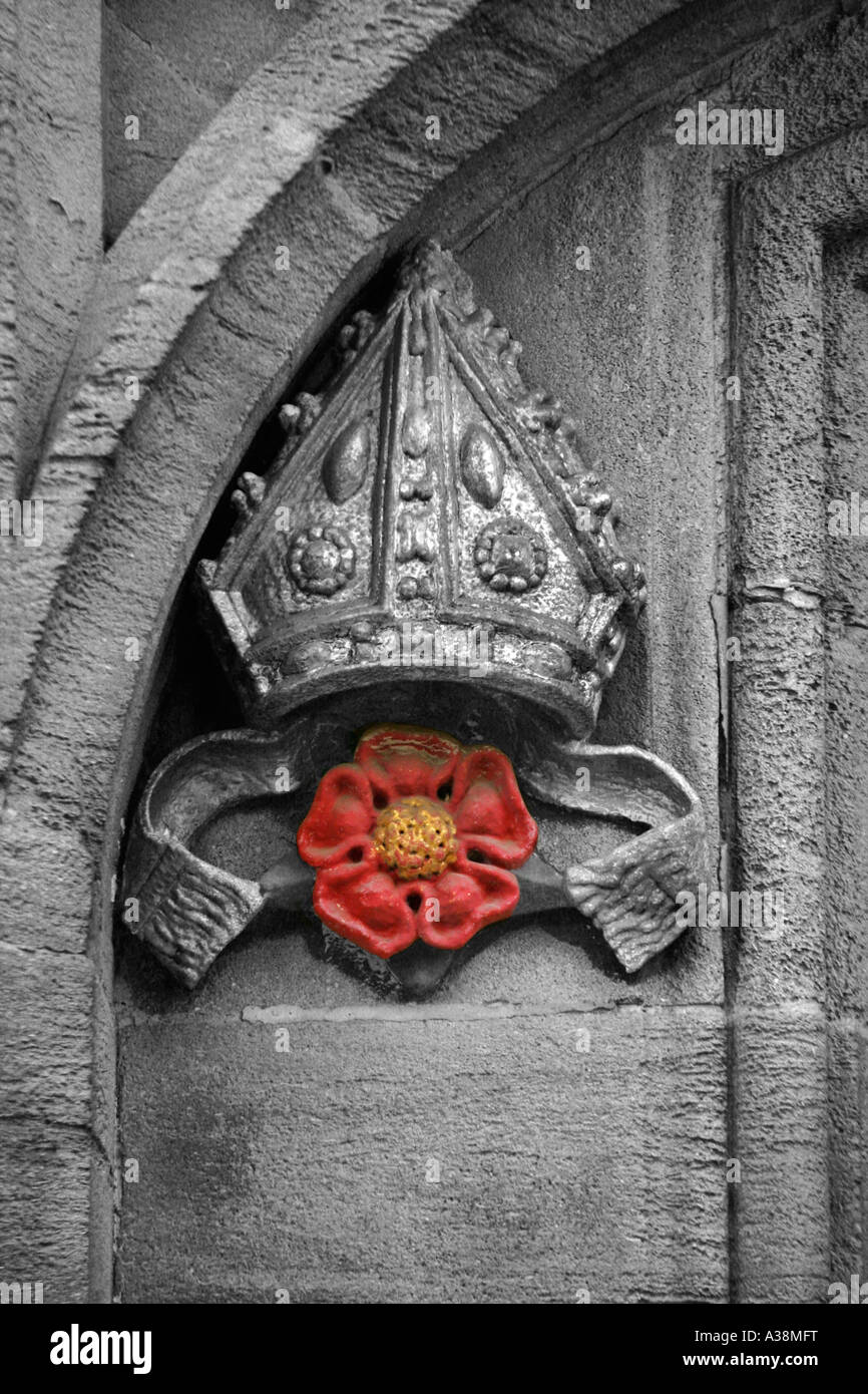 Tudor Rose und Mitre Brasenose College Oxford England Stockfoto