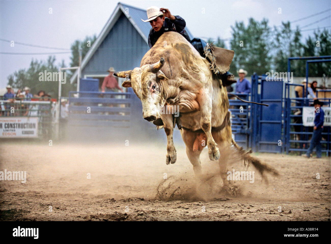 Bull Rider 26 Stockfoto
