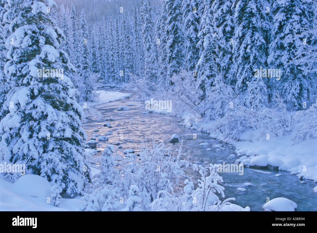 Frischer Schnee Maligne River Stockfoto