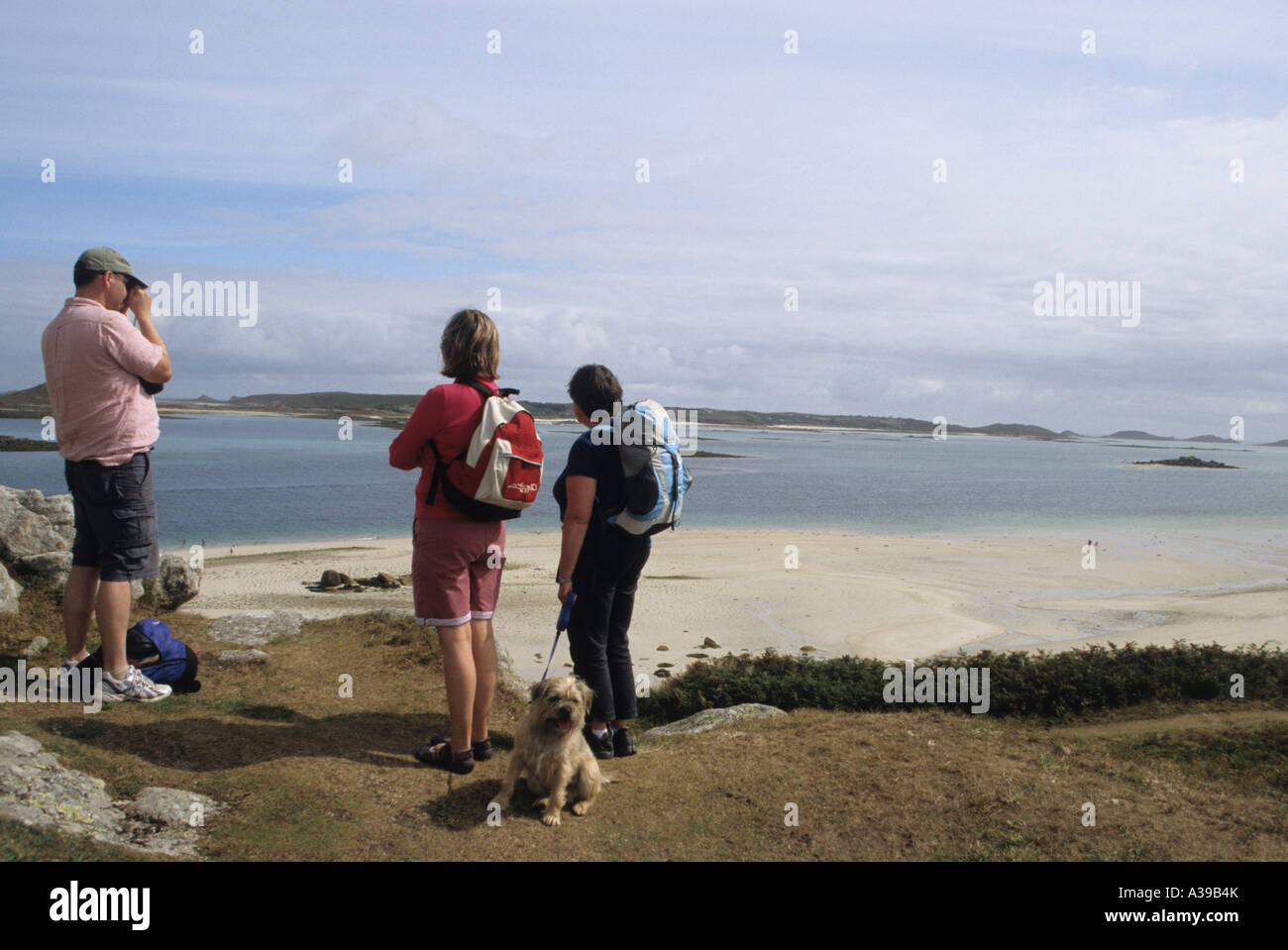 Wanderer und Hund auf Tresco Scilly Islands Scillies Cornwall UK England Stockfoto