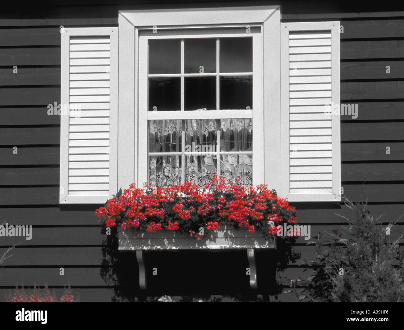 Außenfenster und blühende Fenster-box Stockfoto