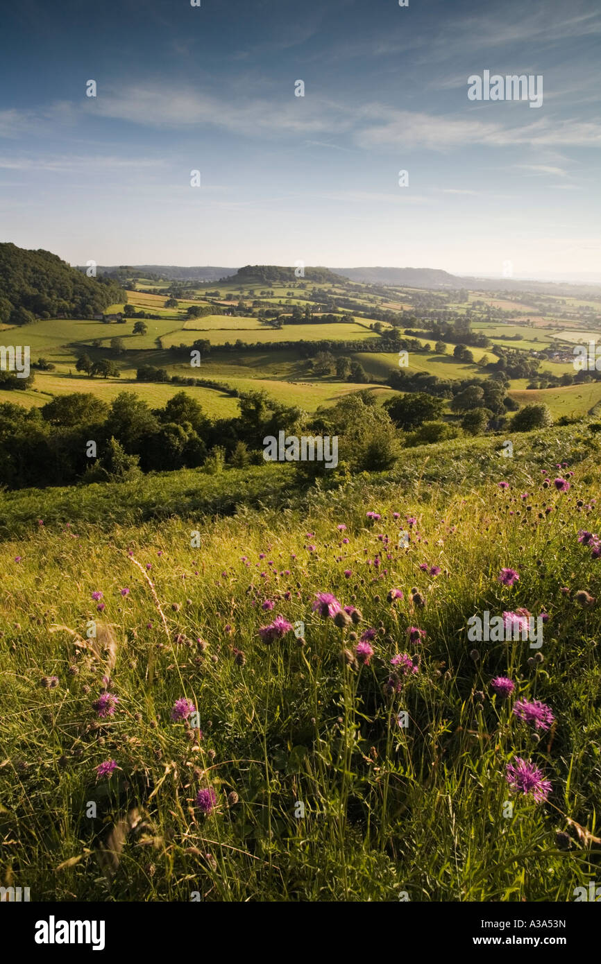 Blick in Richtung Cam lange nach unten vom Coaley Peak auf der Cotswold Weise Gloucestershire Stockfoto