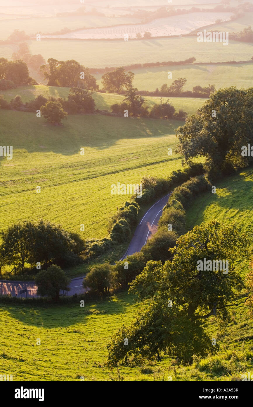 Blick auf einen Feldweg vom Coaley-Höhepunkt auf der Cotswold Weise Gloucestershire Stockfoto