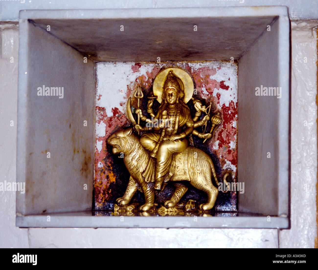 Amritsar Indien Langa Wali Devi Durga (Hindu) Stockfoto Amritsar Indien Langa Wali Devi Durga (Hindu) Stockfoto