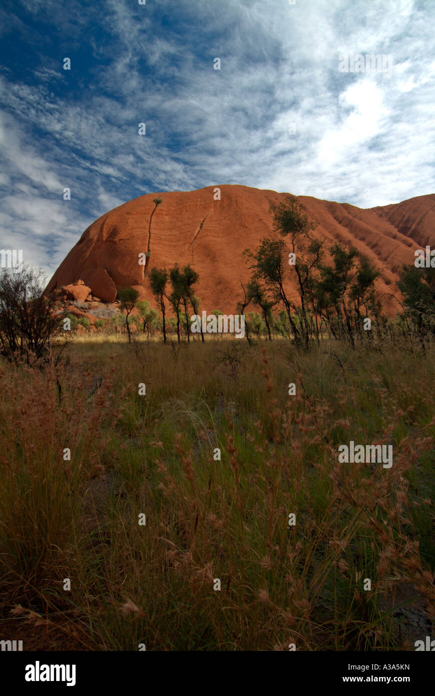 Ayers Rock kurz nach Sonnenaufgang wie entlang der Basis gehen um Uluru mit Peeling im Vordergrund zu sehen Stockfoto