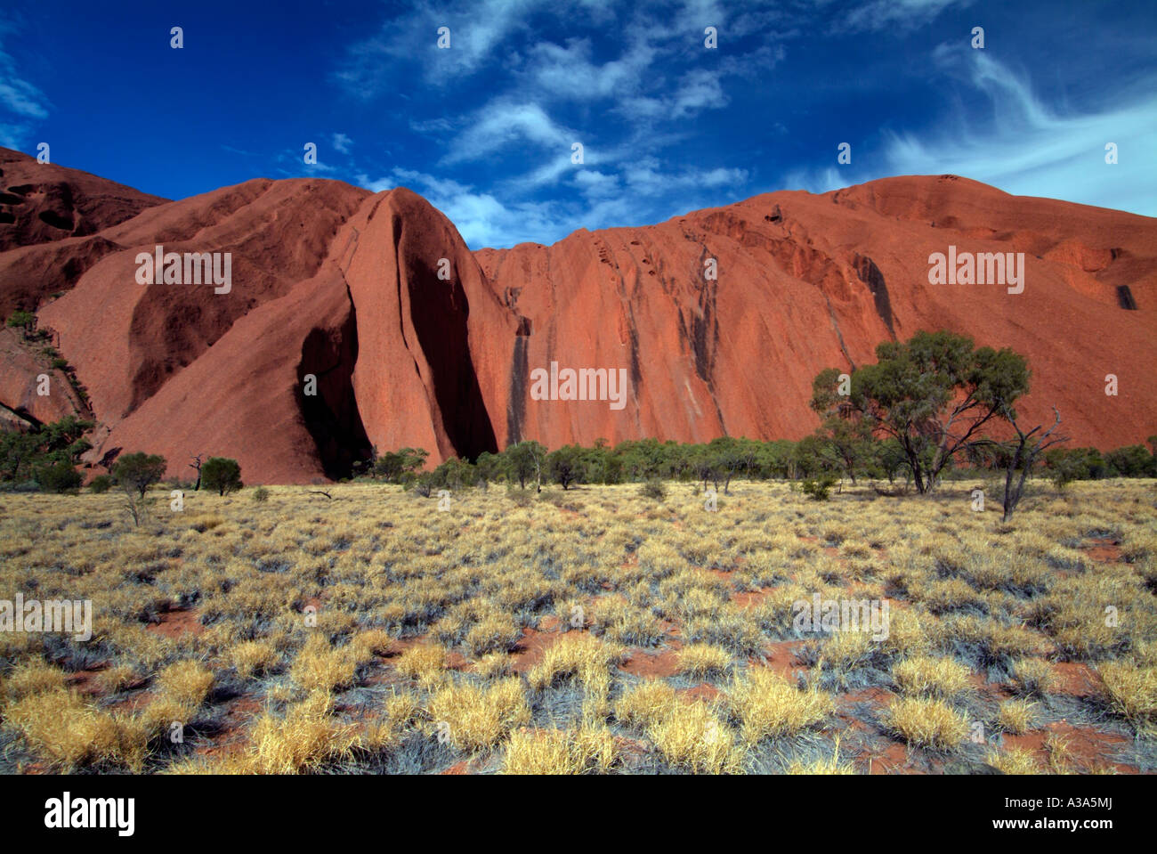 Ayers Rock kurz nach Sonnenaufgang wie entlang der Basis gehen um Uluru mit Peeling im Vordergrund zu sehen Stockfoto