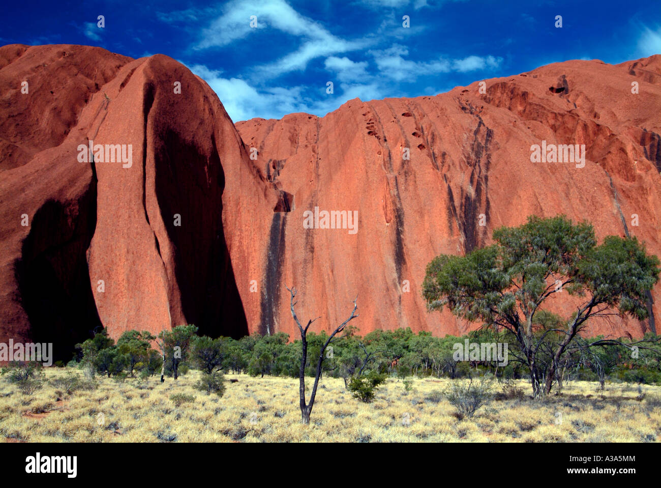 Ayers Rock kurz nach Sonnenaufgang wie entlang der Basis gehen um Uluru mit Peeling im Vordergrund zu sehen Stockfoto