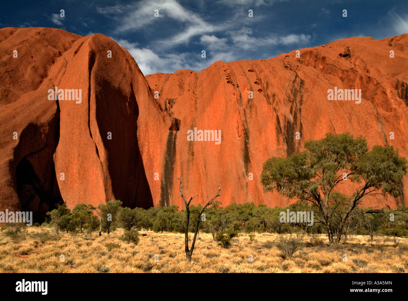 Ayers Rock kurz nach Sonnenaufgang wie entlang der Basis gehen um Uluru mit Peeling im Vordergrund zu sehen Stockfoto