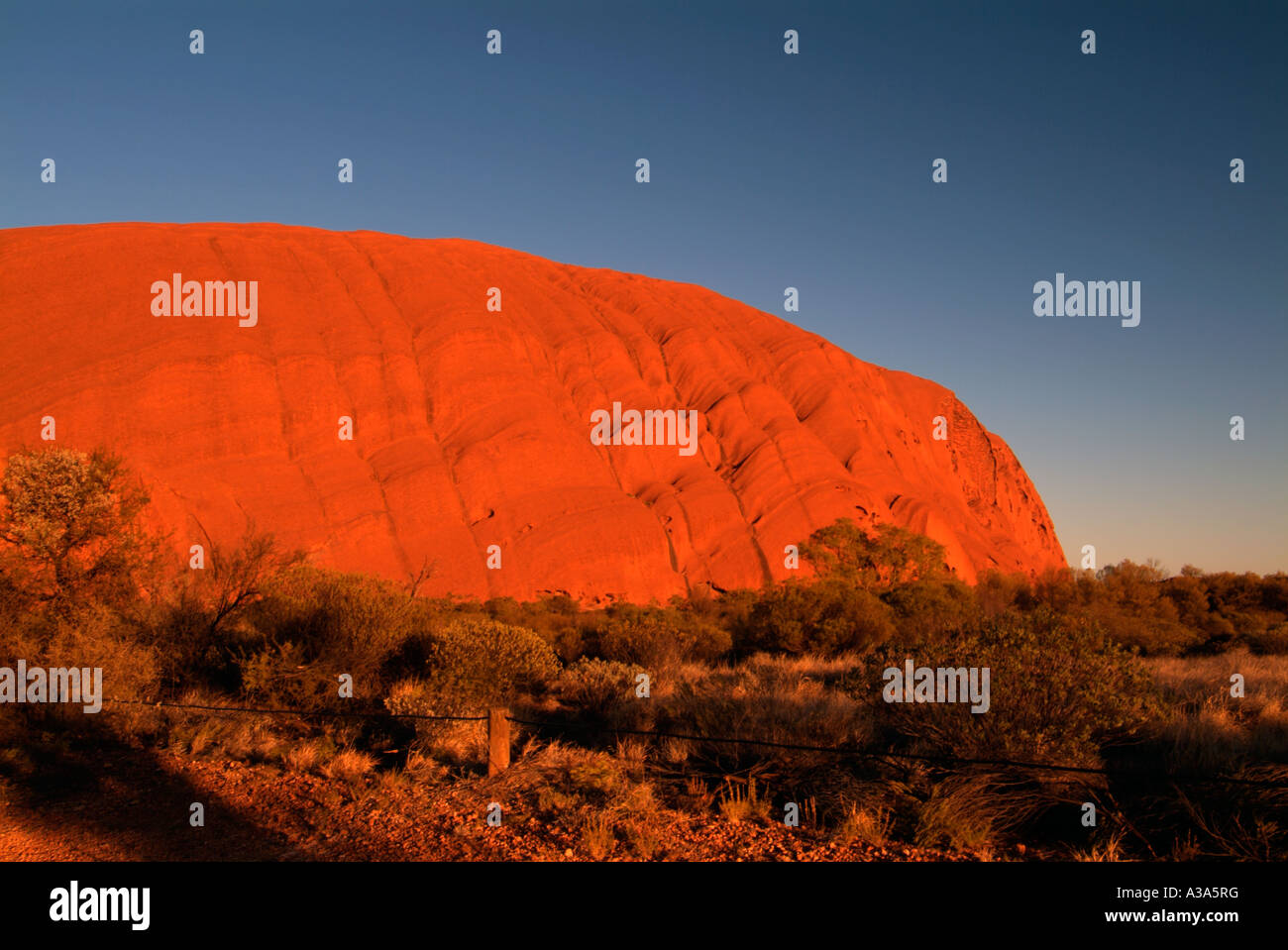 Dramatische und andere Ansicht des Ayers Rock kurz nach Sonnenaufgang wie entlang der Basis Spaziergang um Uluru glühend rot orange Leuchten zu sehen Stockfoto