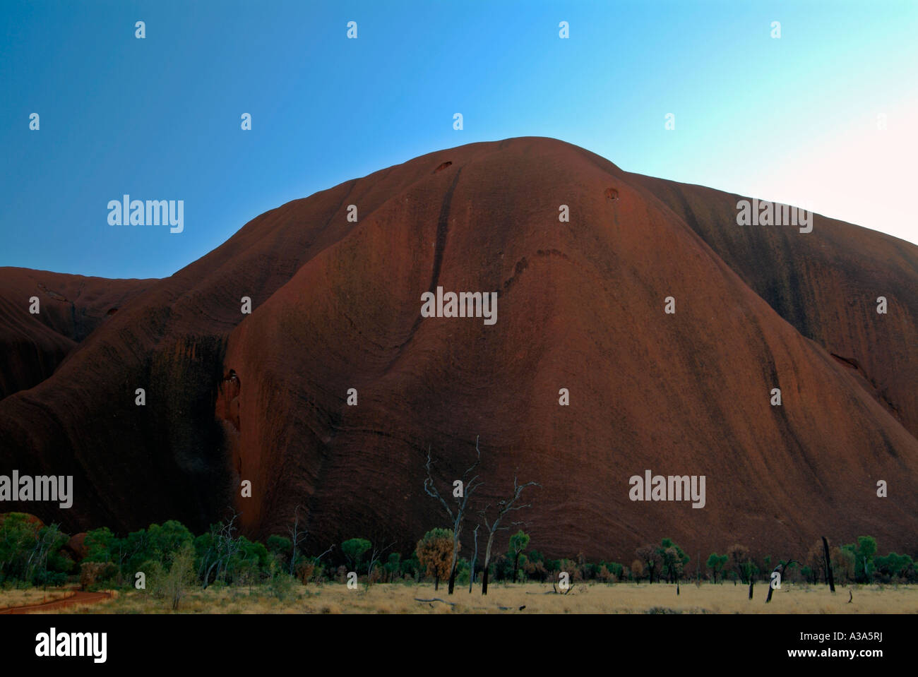 Ayers Rock kurz nach Sonnenaufgang wie entlang der Basis gehen um Uluru gesehen Stockfoto