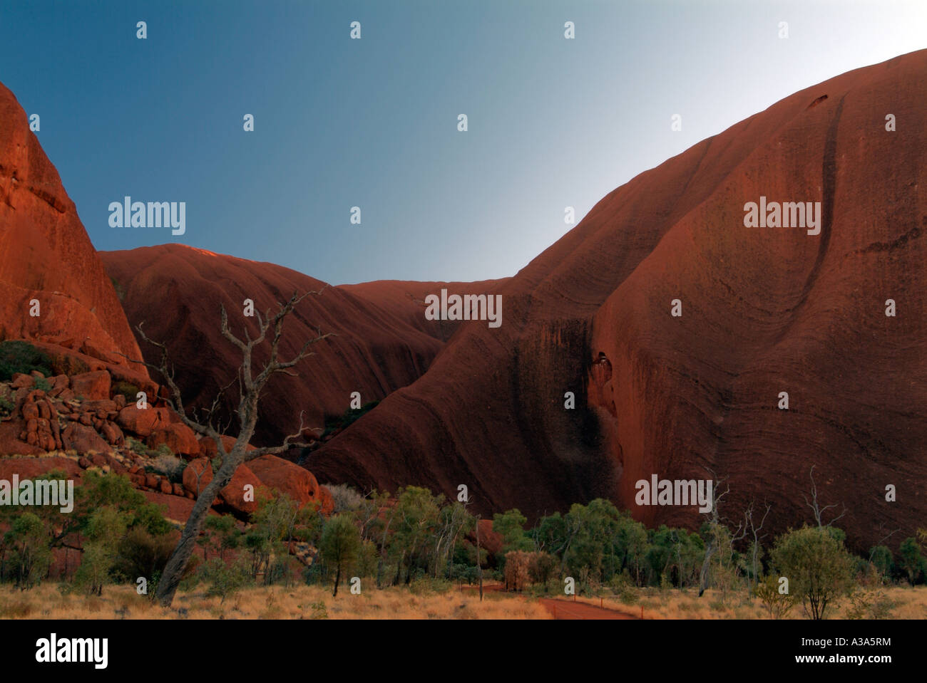 Ayers Rock kurz nach Sonnenaufgang wie entlang der Basis gehen um Uluru gesehen Stockfoto