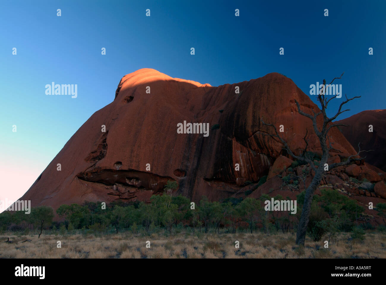 Ayers Rock kurz nach Sonnenaufgang gesehen entlang der Basis gehen um Uluru Top Tipp beleuchtete beleuchten Stockfoto