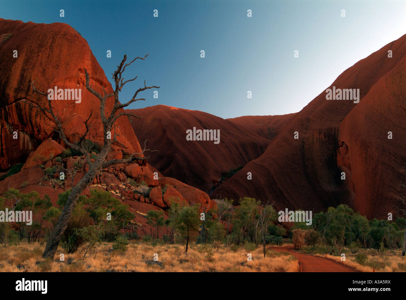 Ayers Rock kurz nach Sonnenaufgang wie entlang der Basis gehen um Uluru gesehen Stockfoto