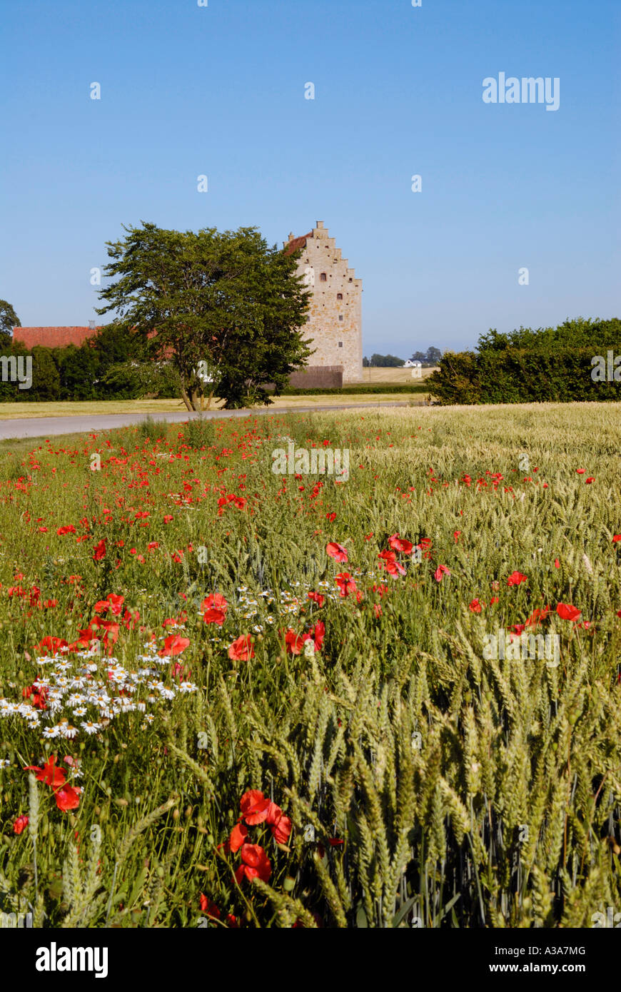 Schweden Glimminge Hus Stockfoto