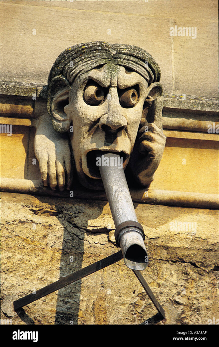 Wasserspeier Stein geschnitzten Kopf grotesk Stockfoto