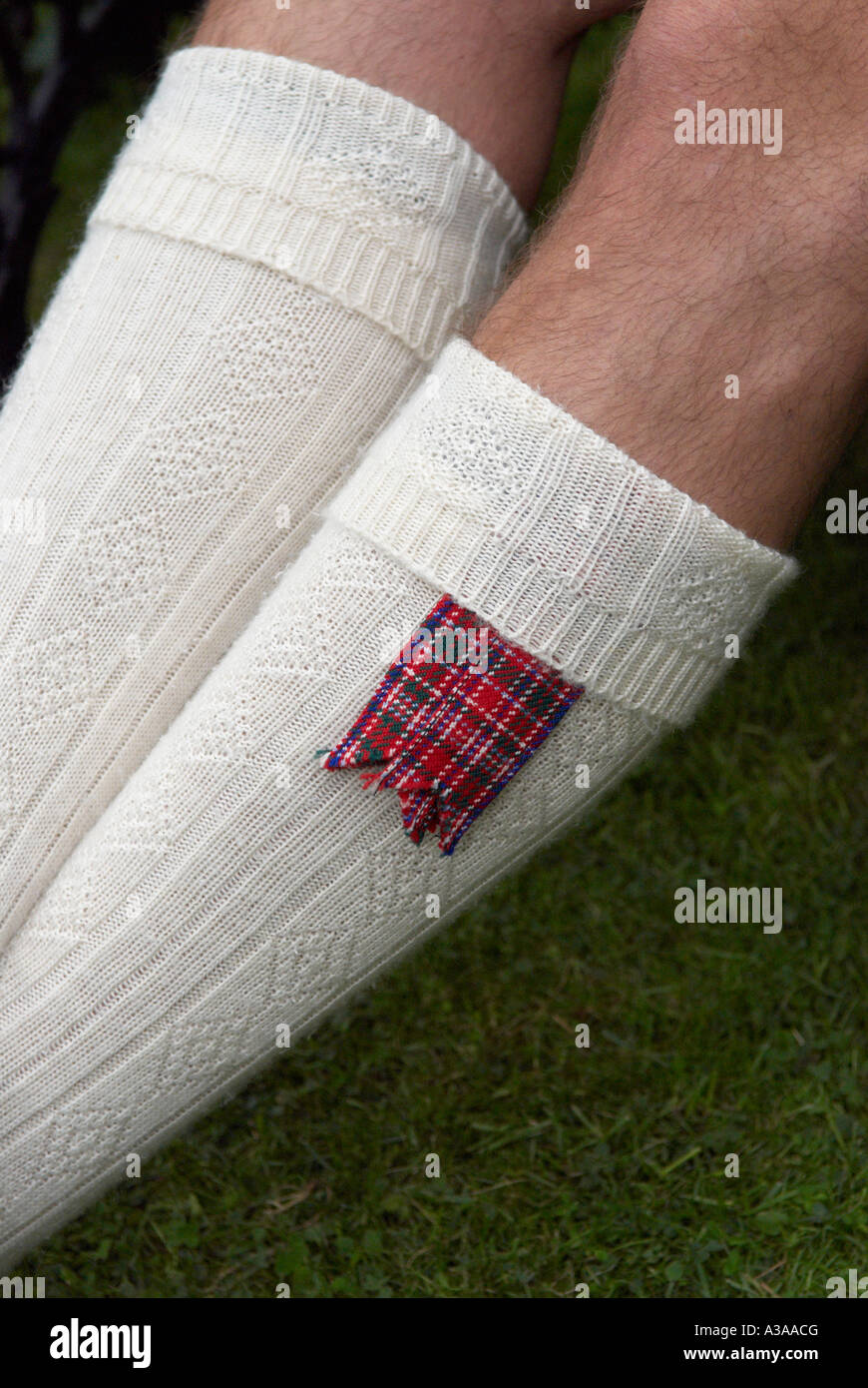 Scotsmans Beine tragen traditionelle gestrickte Creme Socken mit Tartan blinkt Stockfoto