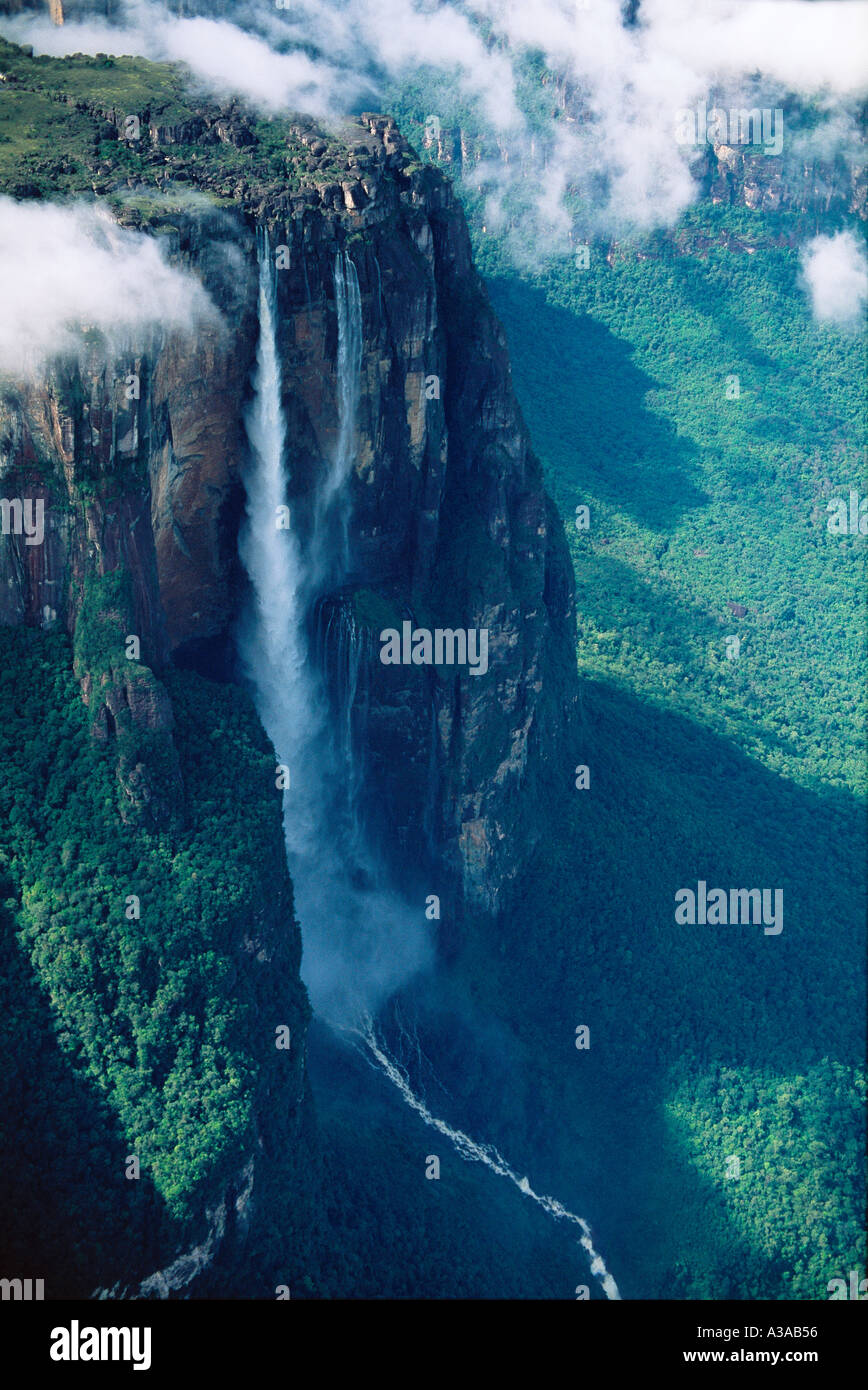 Der höchste Wasserfall der Welt, 979 m, im Canaima-Nationalpark, Auyantepui-Tafelberg, Venezuela Stockfoto
