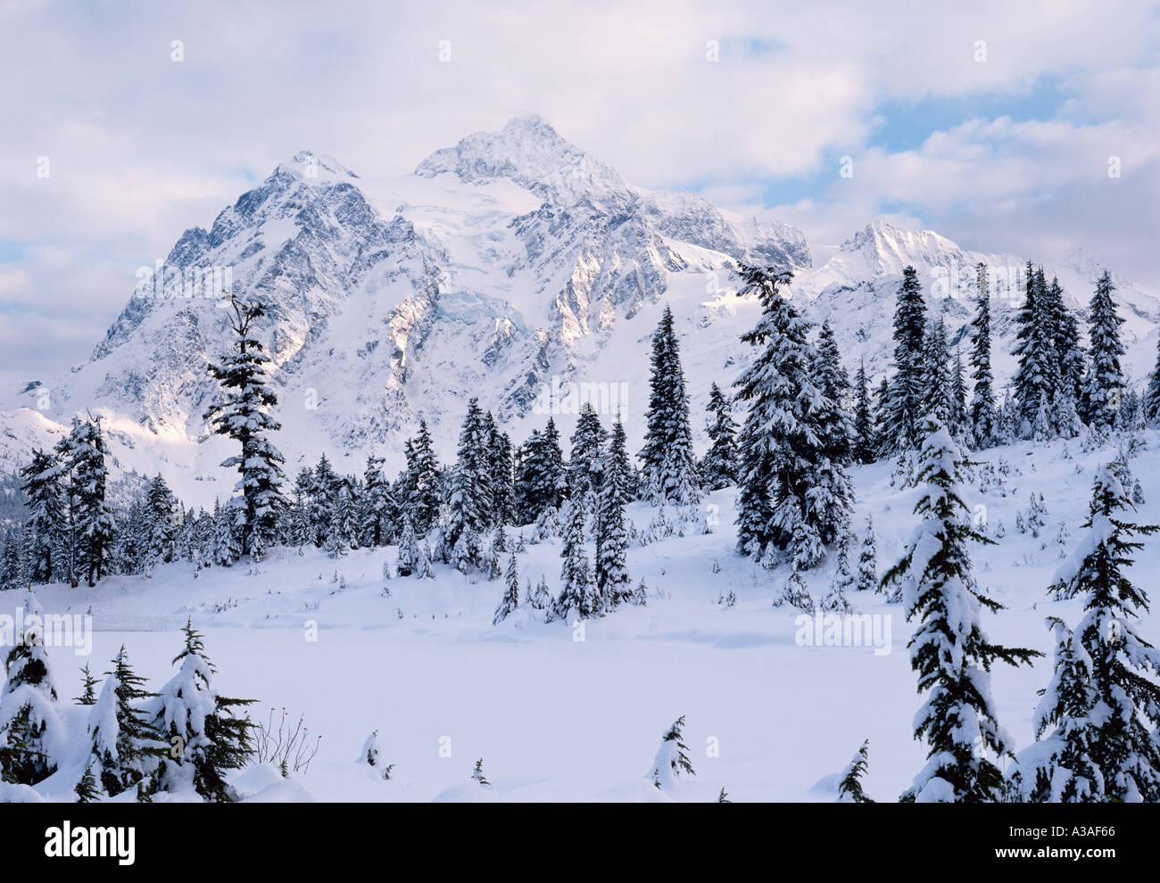 Mt Shuksan WA USA Mt Shuksan im North Cascades National Park Winter am See Bild Stockfoto