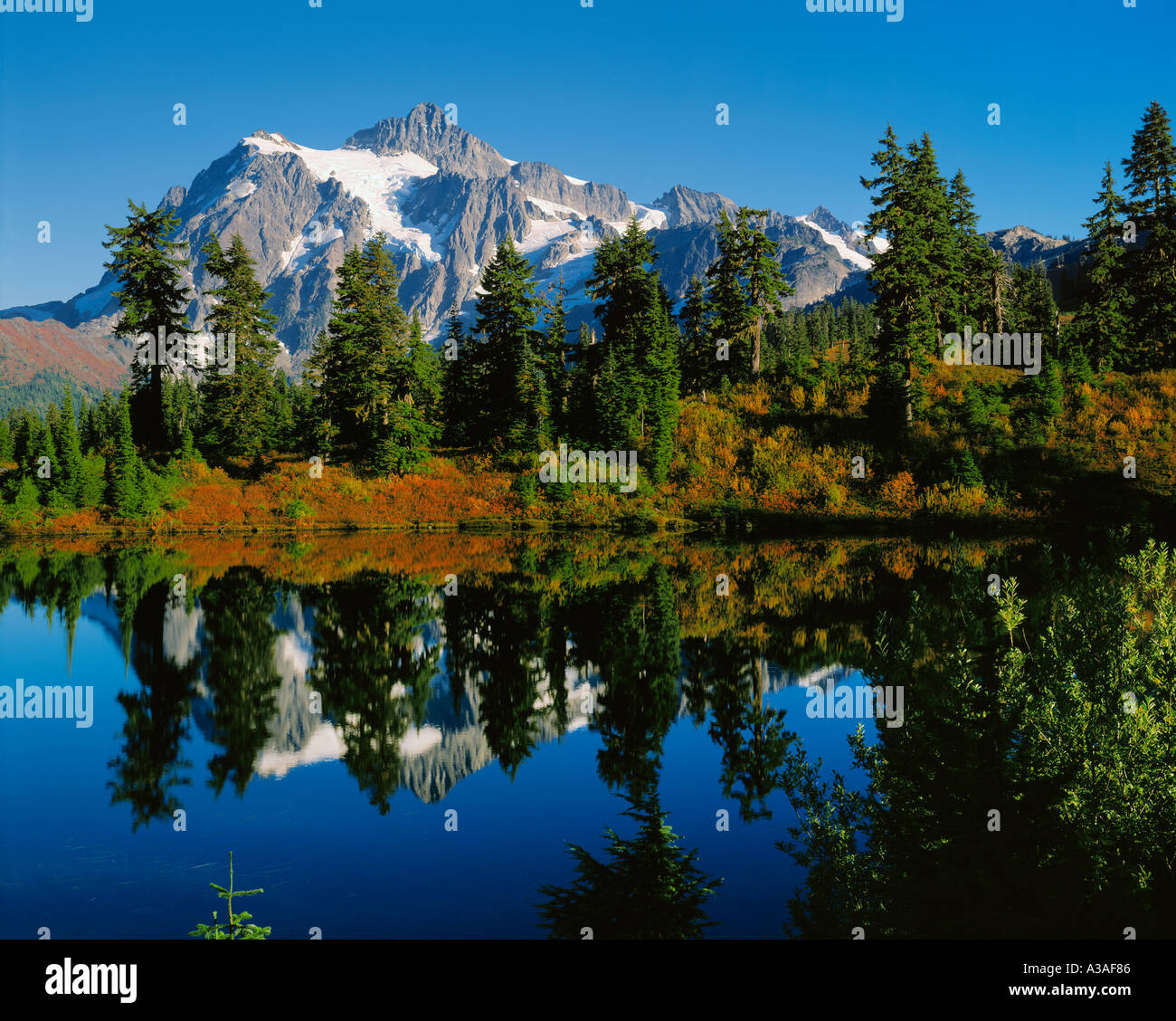 Mt Shuksan, North Cascades National Park, Washington State, USA 9127 ft 2782m, Pacific NW, North Cascades, Mt Shuksan Reflexion Stockfoto