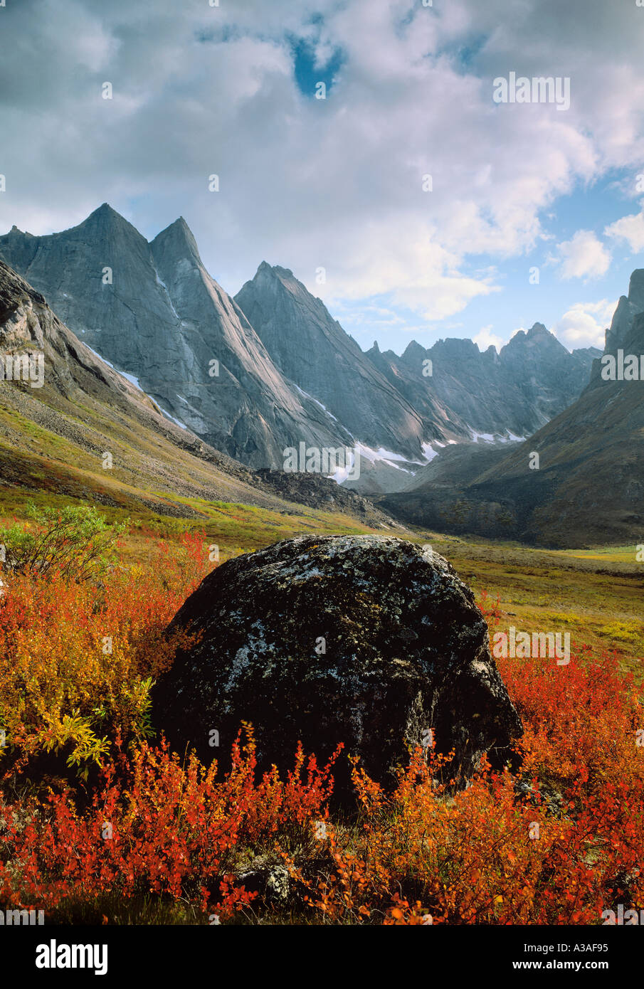 Toren der Arctic National Park, Alaska, USA, Brooks Range, Wildnis, Arrigetch Gipfel und Feuer Rock im Herbst, Zwerg-Birke Stockfoto