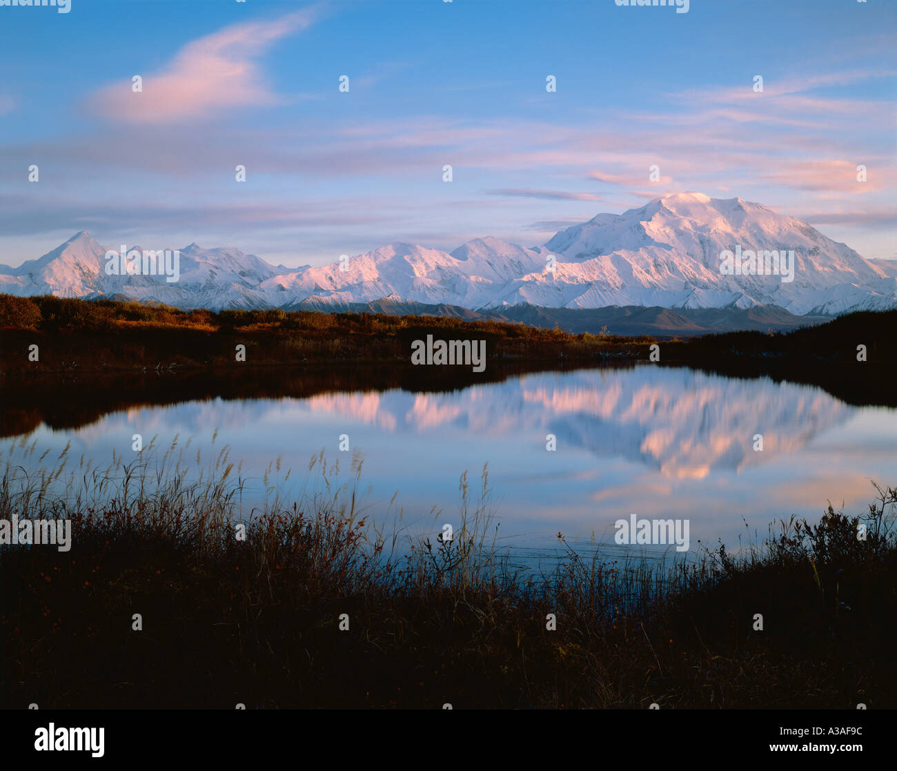 Denali, Denali National Park, Alaska, USA, Mt McKinley und die Alaska Range, Reflexion Stockfoto