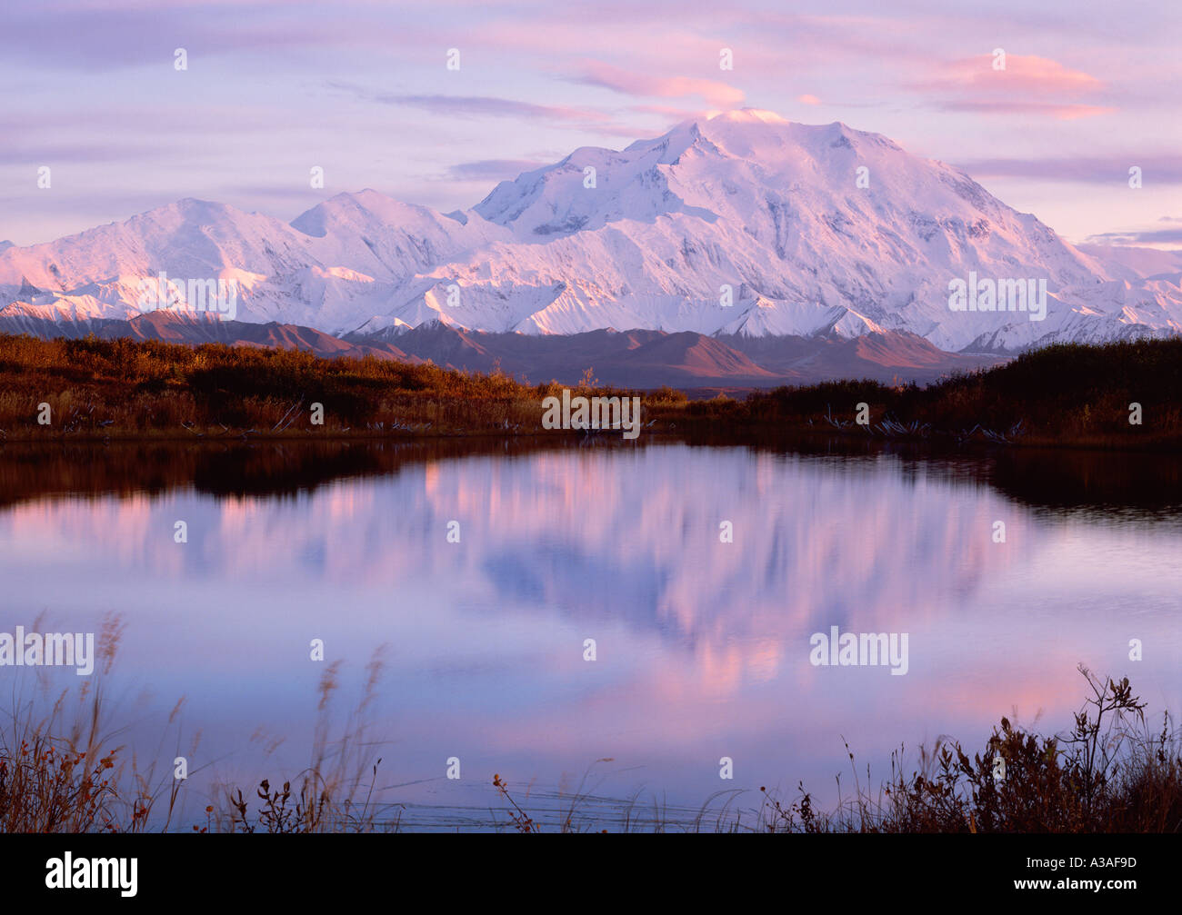 Denali, Denali National Park, Alaska, USA, Mt McKinley und die Alaska Range, weiche Pastellfarben, Reflexion Stockfoto