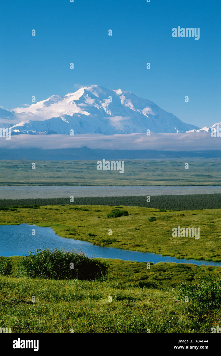 Denali National Park Alaska USA Mt McKinley und die Alaska Range, McKinley River Bar, Sommer, Wasserkocher Teich Stockfoto