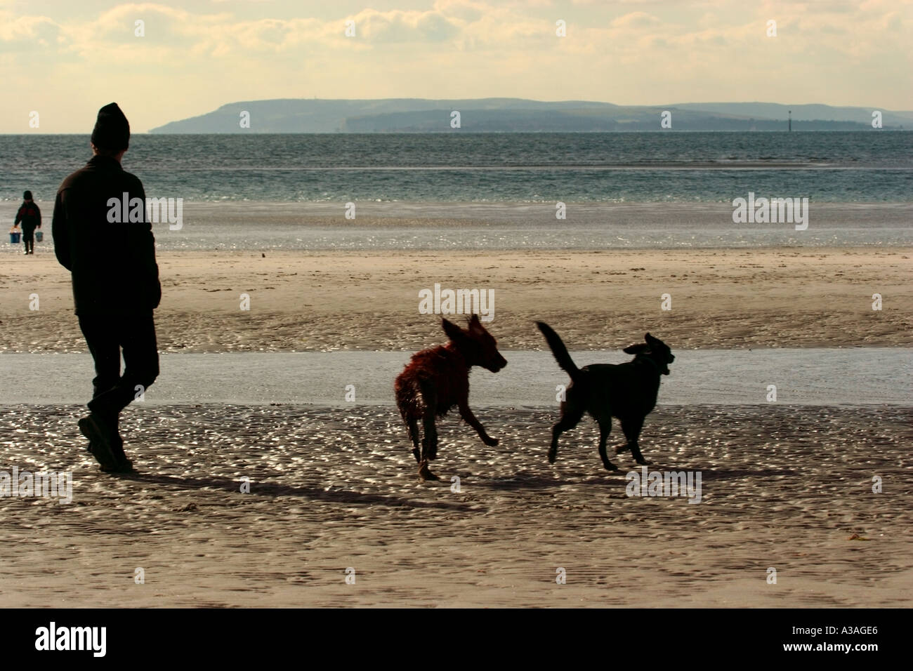 Spaziergang mit dem Hund an der West Wittering Strand, Hampshire, England, UK Stockfoto