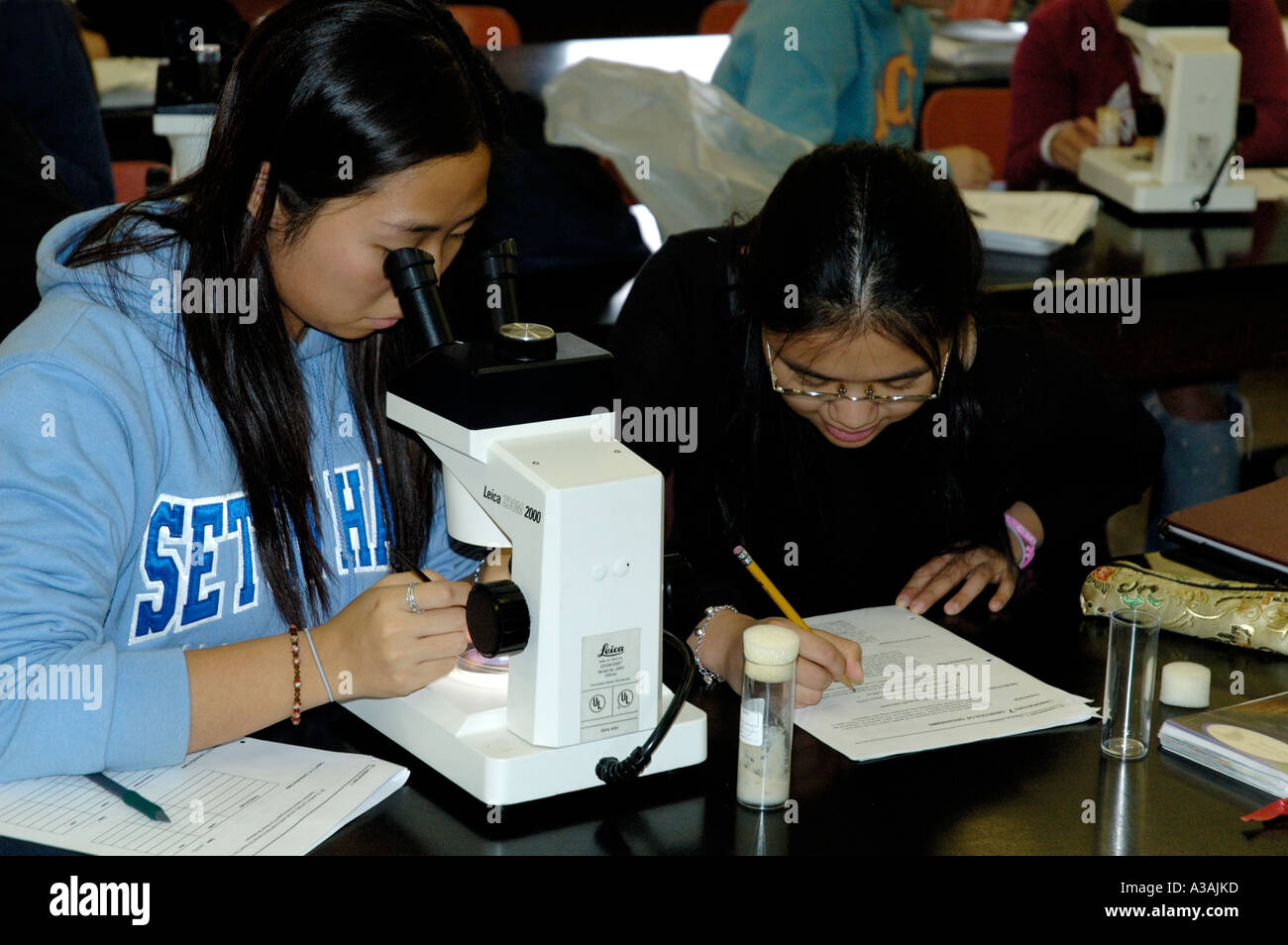 Zwei asiatische sekundäre Mädchen Gymnasiasten in Biologie Wissenschaft Klasse einen Blick ins Mikroskop, ein Schreiben von Daten Stockfoto