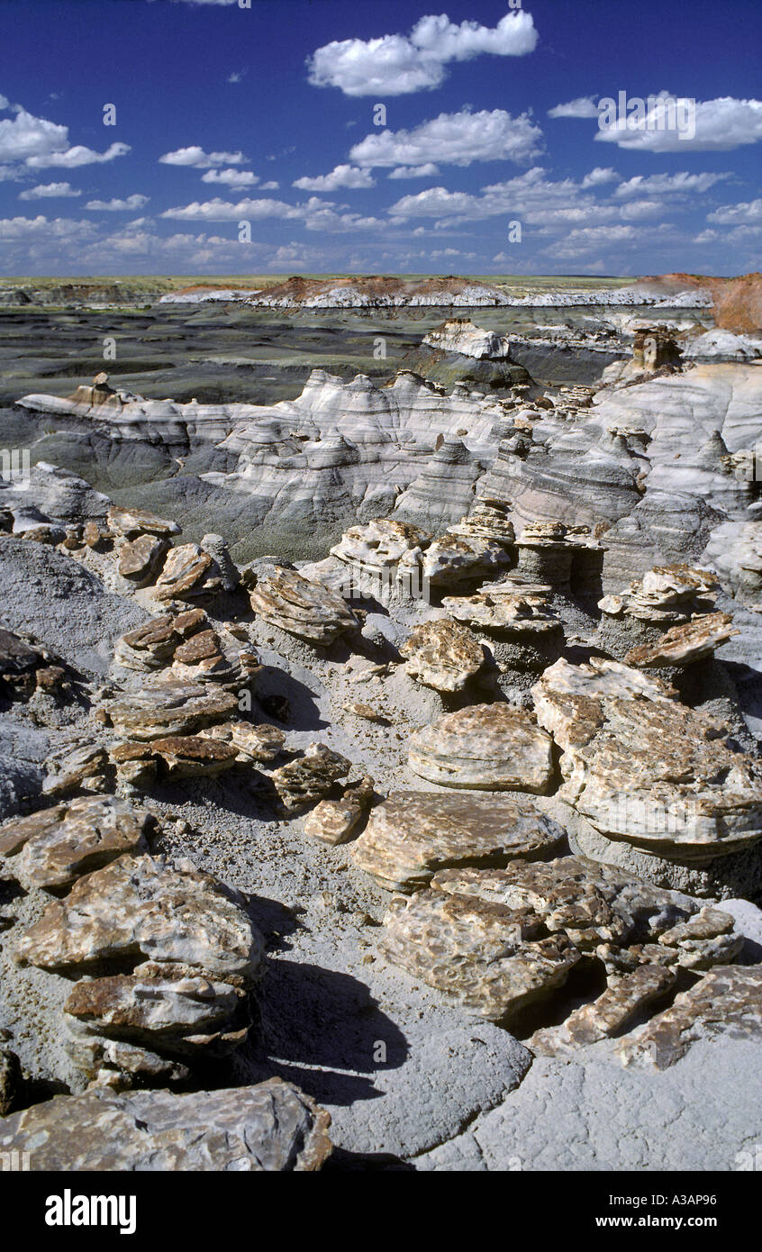 Caprock Formationen Bisti Badlands New mexico Stockfoto
