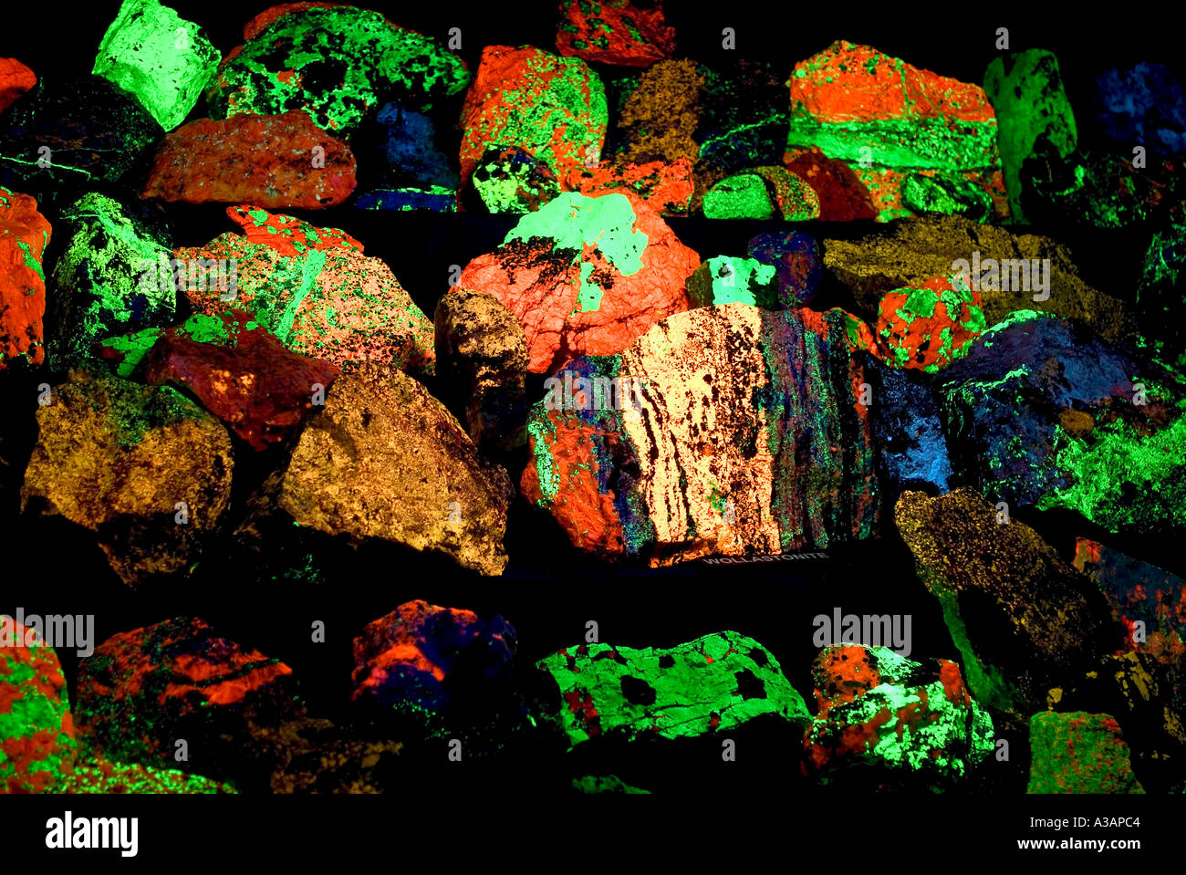Fluoreszierende Mineralien unter Ultra-Violet Licht Franklin Mineral Museum NJ Stockfoto
