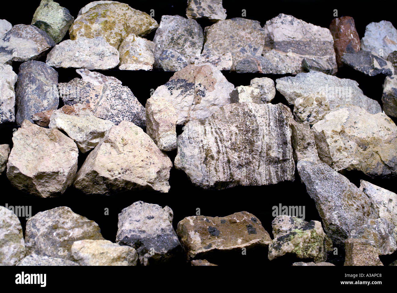 Fluoreszierende Mineralien unter weißen Licht Franklin Mineral Museum NJ Stockfoto