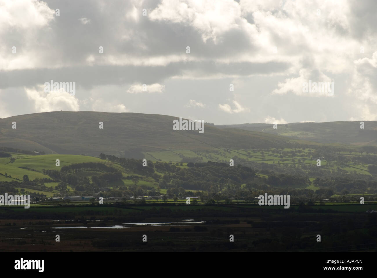 Blick über Cors Caron in den Cambrian mountains Stockfoto
