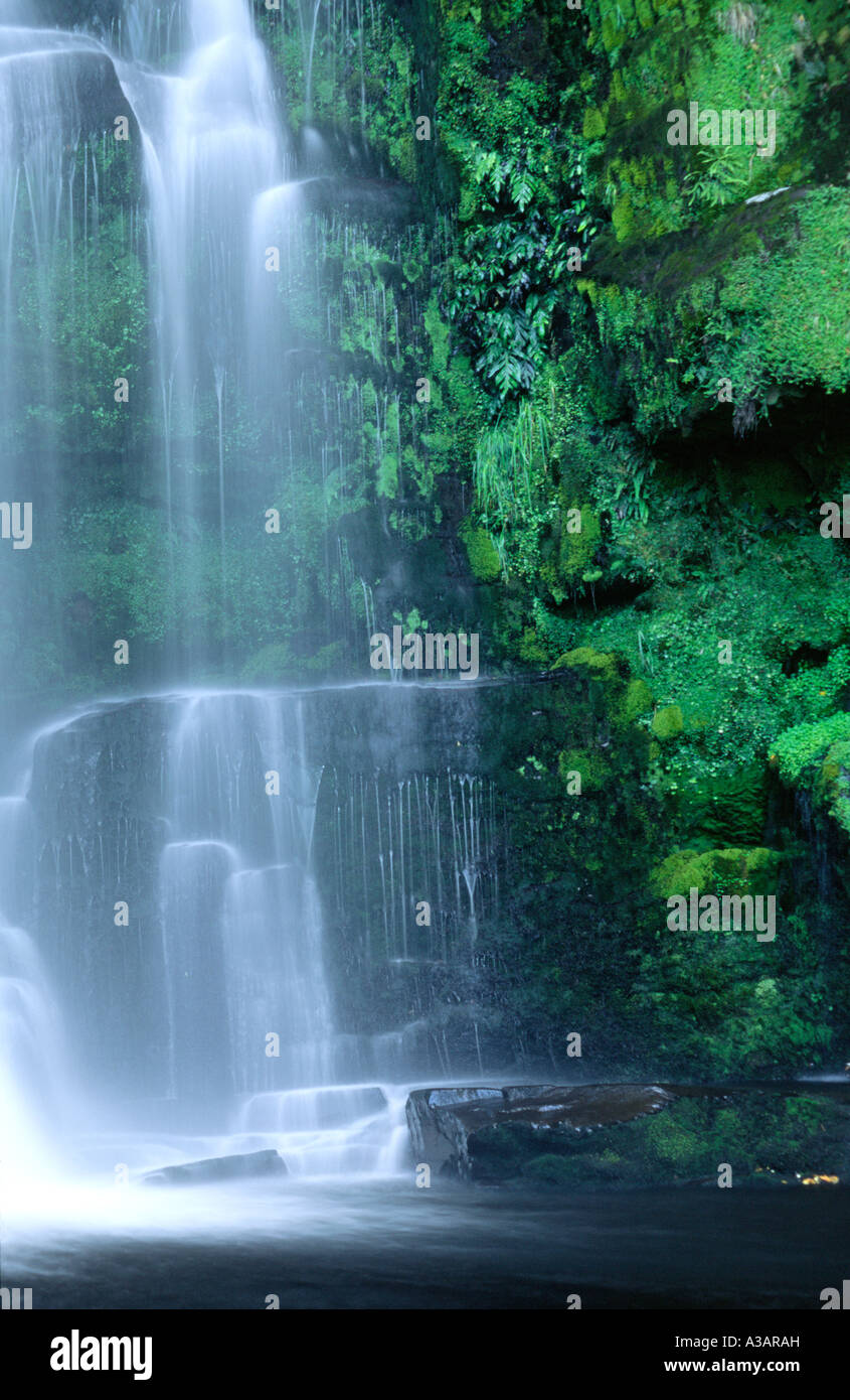 McLean Falls Catlins Forest Park Otago South Island Neuseeland Stockfoto