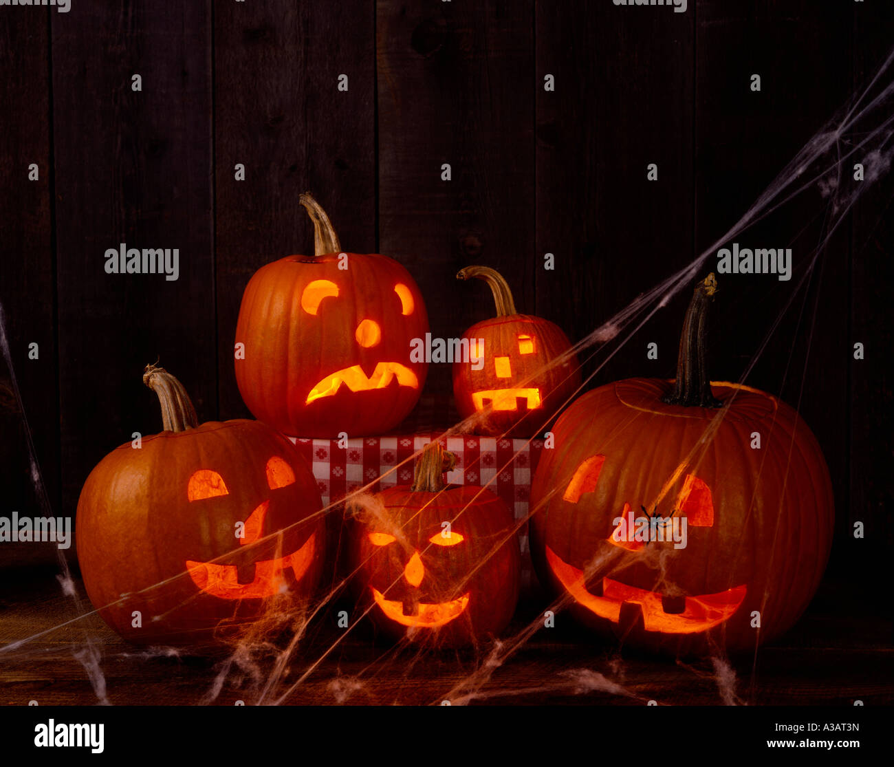 Fünf beängstigende Jack-O-Laternen leuchten in einem abgedunkelten Raum Stockfoto