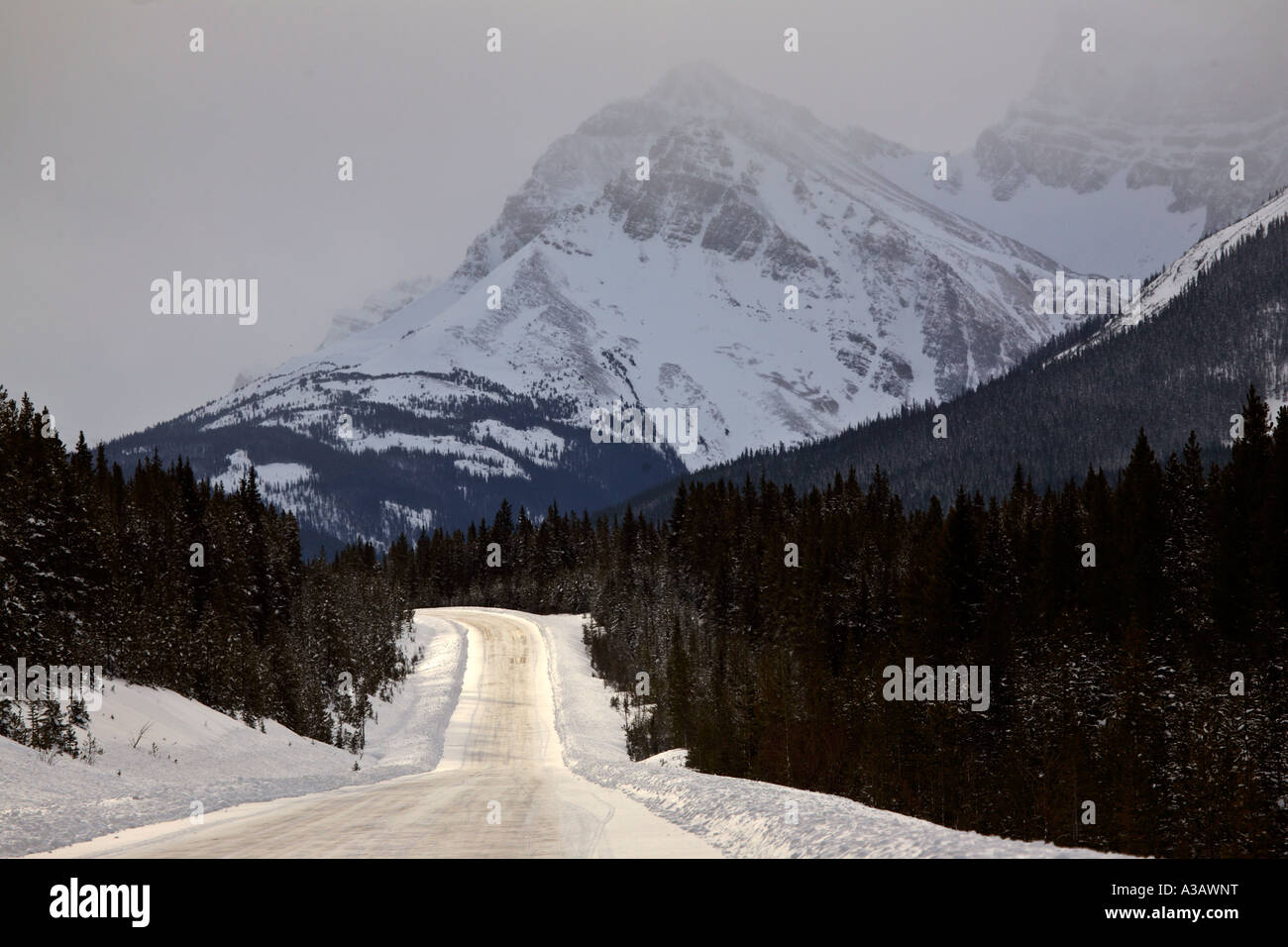 Schneebedeckten Rocky Mountains in Alberta, Kanada Stockfoto