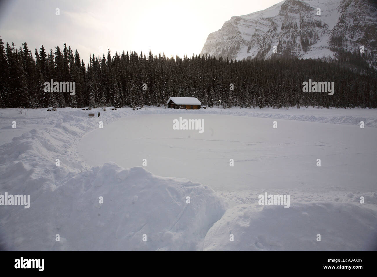 Lake Louise und Rocky Mountains im winter Stockfoto
