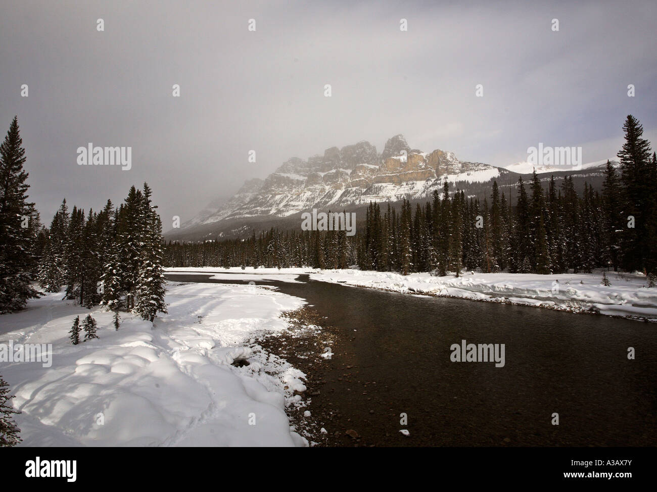 Bow River im winter Stockfoto